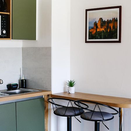 Studio Avec Parking Vue Sur La Cite De Carcassonne Dış mekan fotoğraf