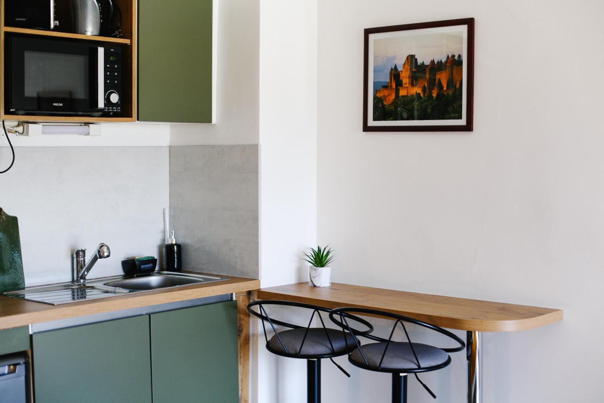 Studio Avec Parking Vue Sur La Cite De Carcassonne Dış mekan fotoğraf